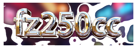 fz250cc logo